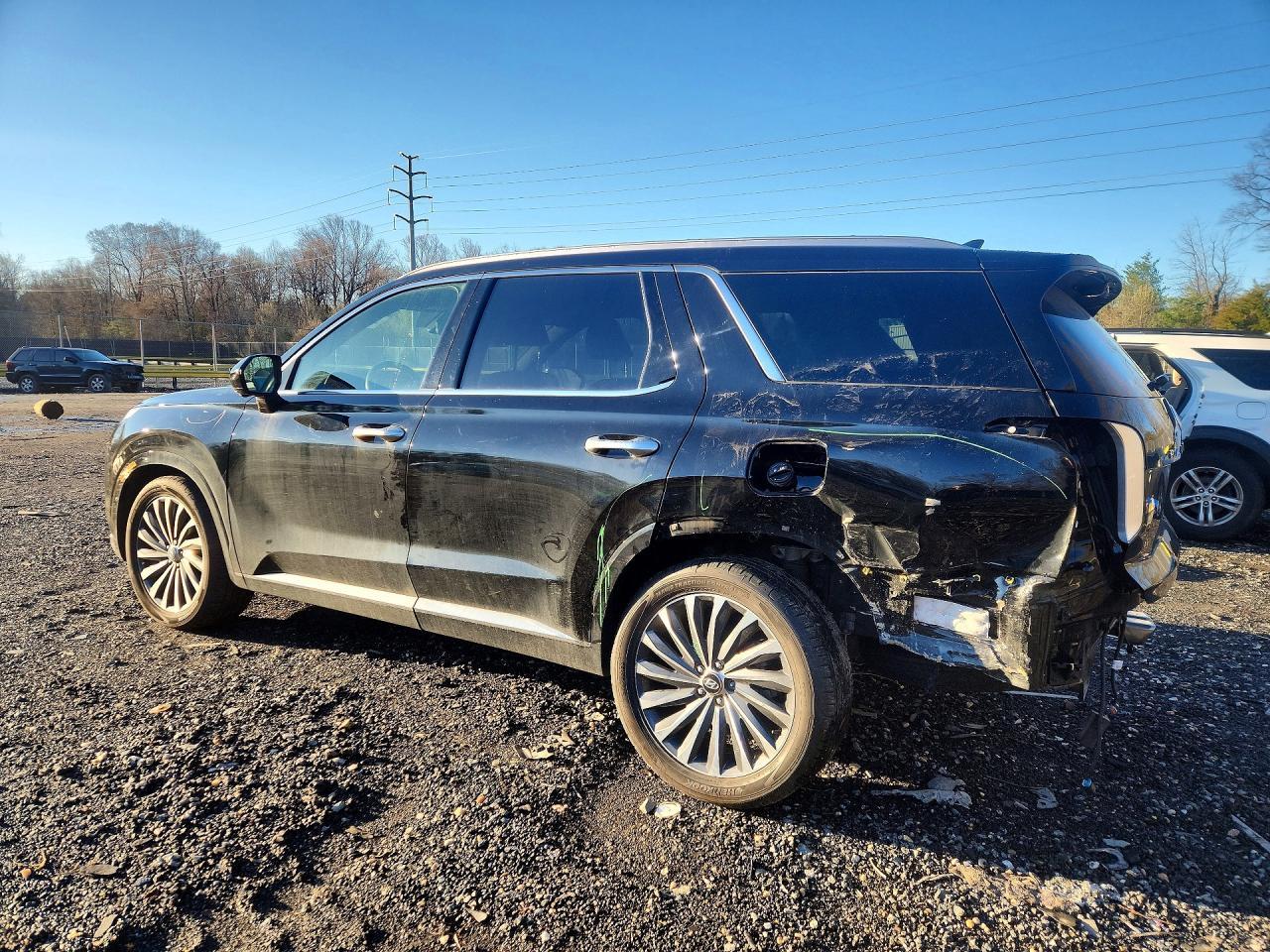 2024 Hyundai Palisade Calligraphy - Фото 2
