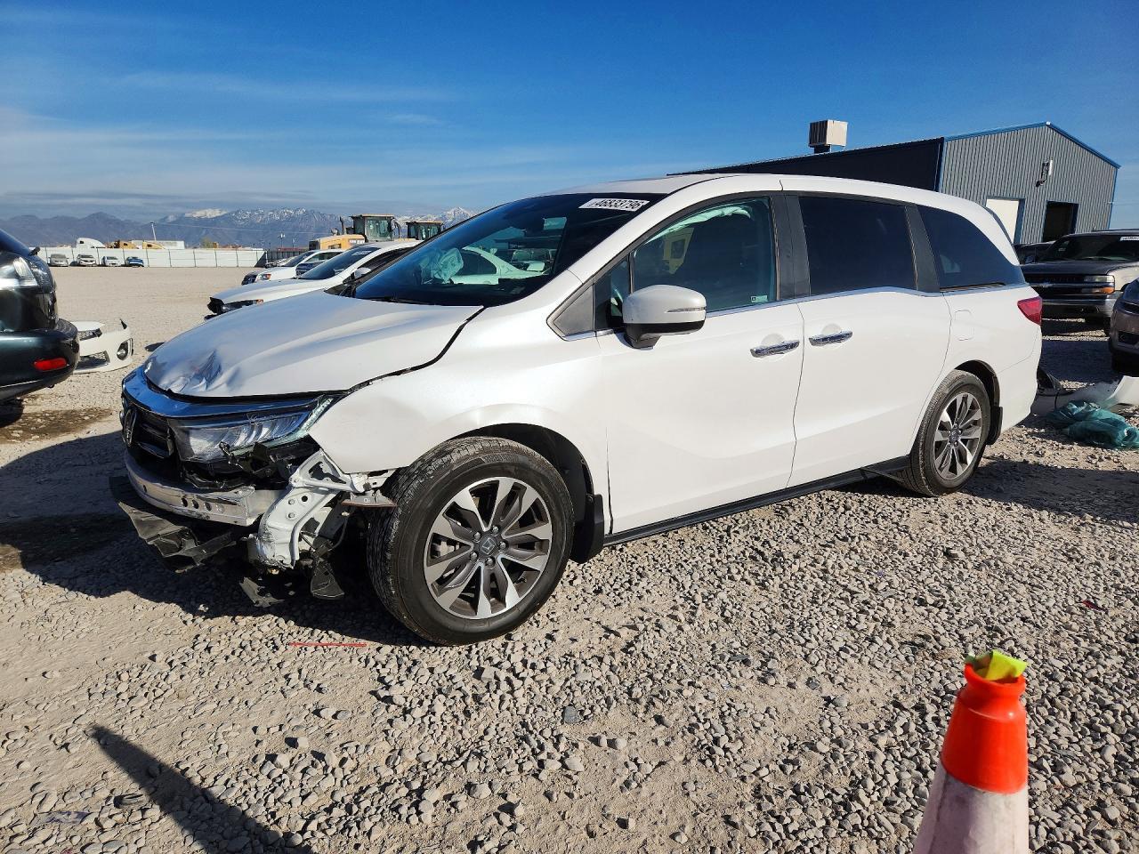 2023 Honda Odyssey Exl