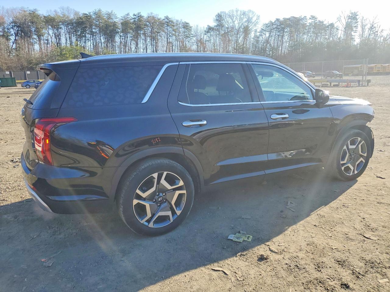 2024 Hyundai Palisade Sel - Фото 3