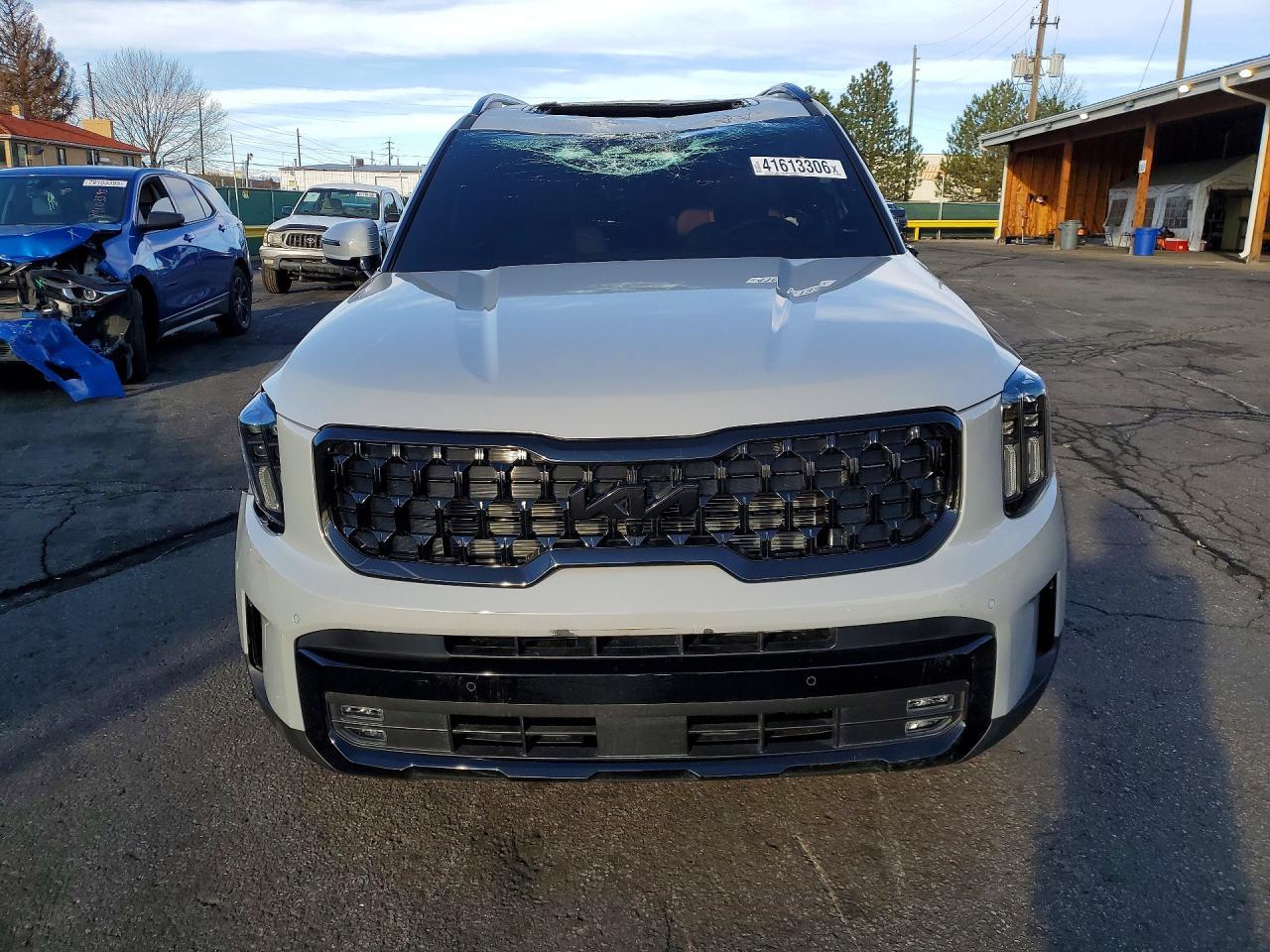 2025 Kia Telluride Sx X-Line - Фото 5