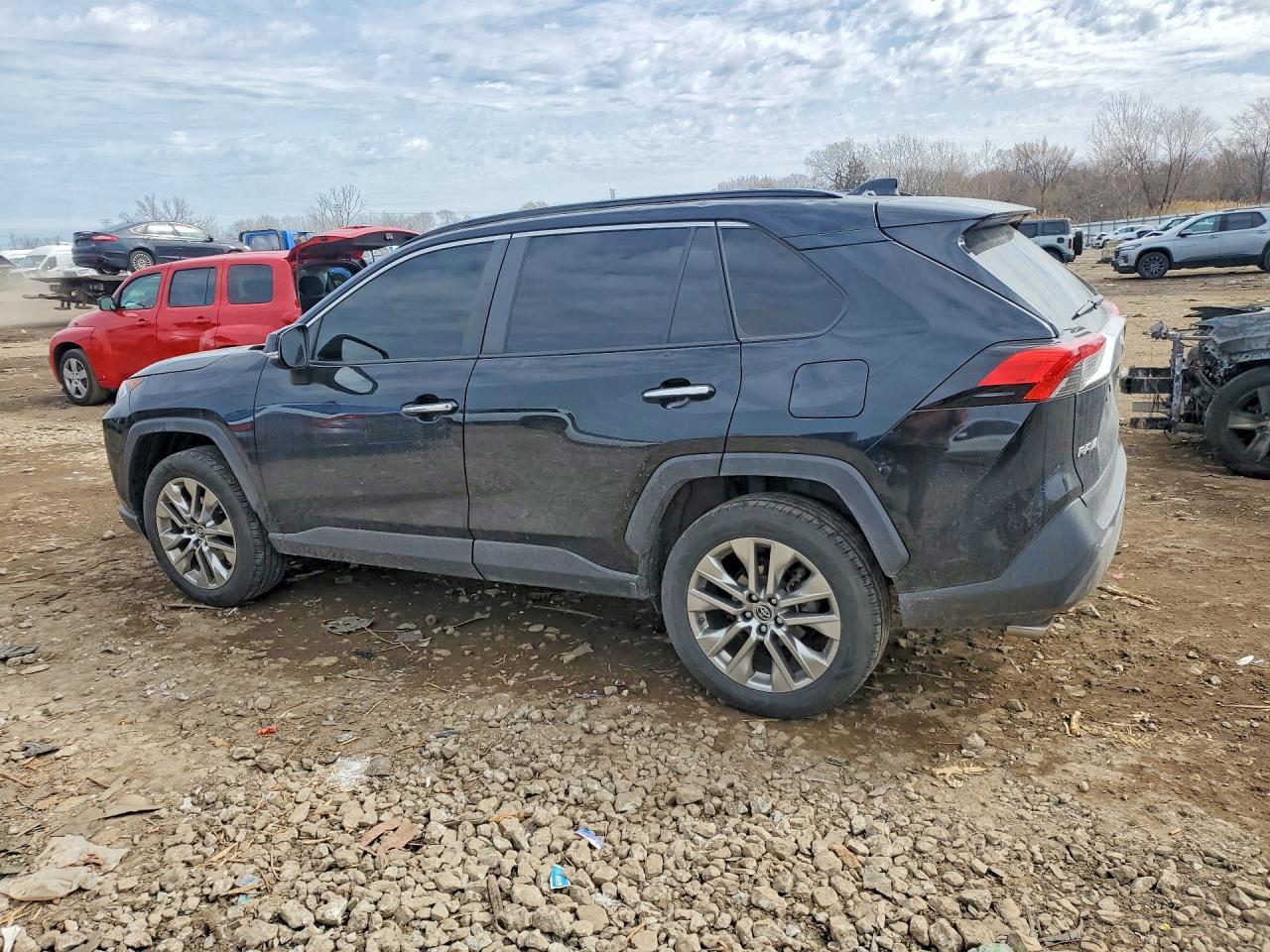 2019 Toyota Rav4 Limited - Фото 2