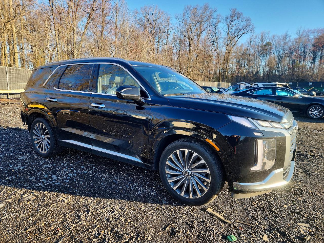 2024 Hyundai Palisade Calligraphy - Фото 4