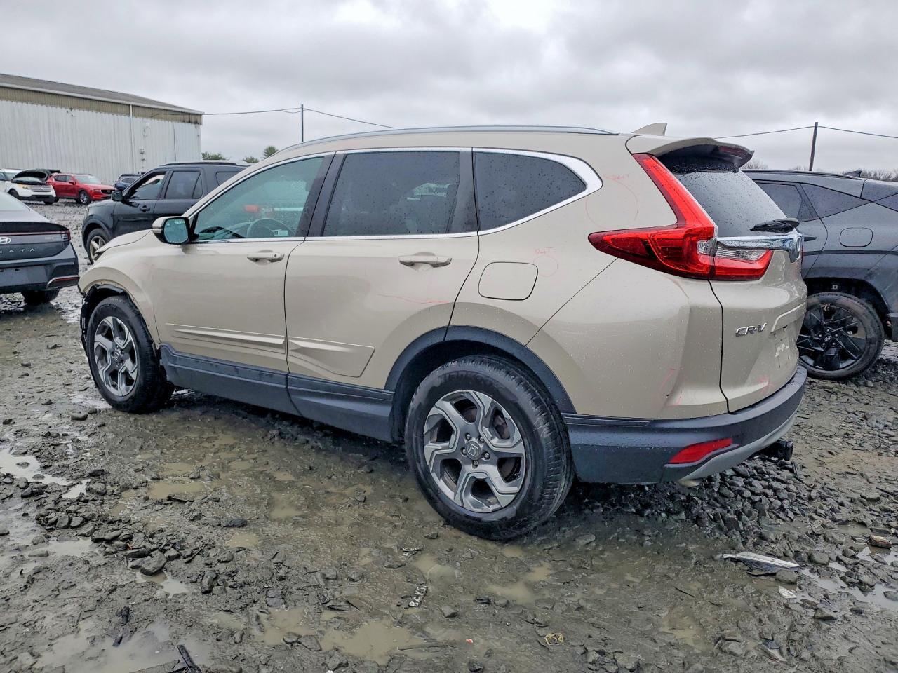 2019 Honda Cr-V Exl - Image 2