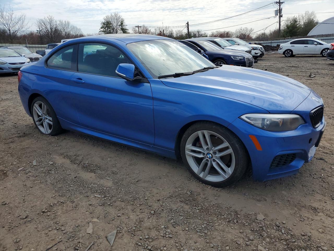 2015 BMW 228 Xi Sulev - Фото 4