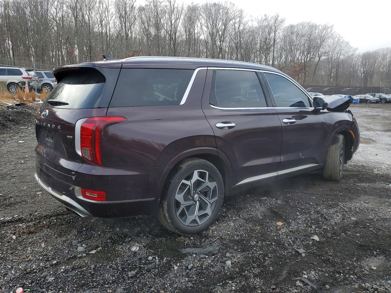 2022 Hyundai Palisade Calligraphy - Фото 3