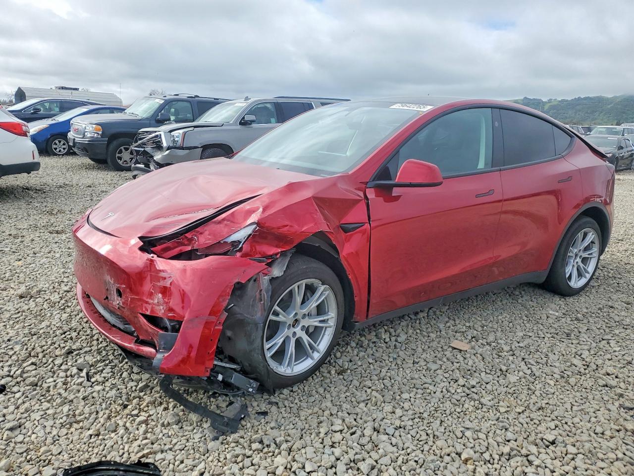 2024 Tesla Model Y
