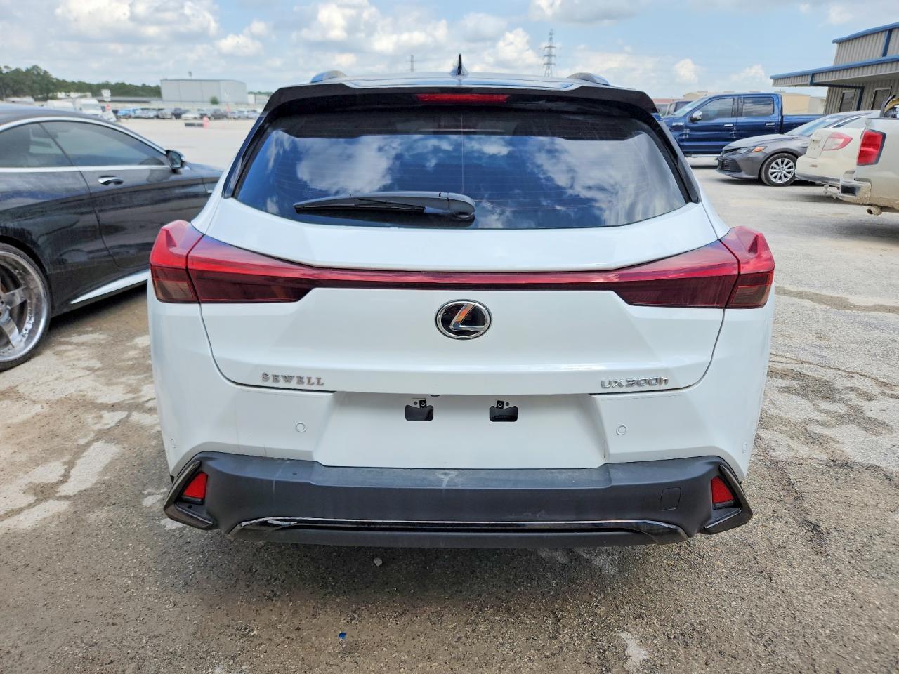 2025 Lexus Ux 300H Base - Фото 6