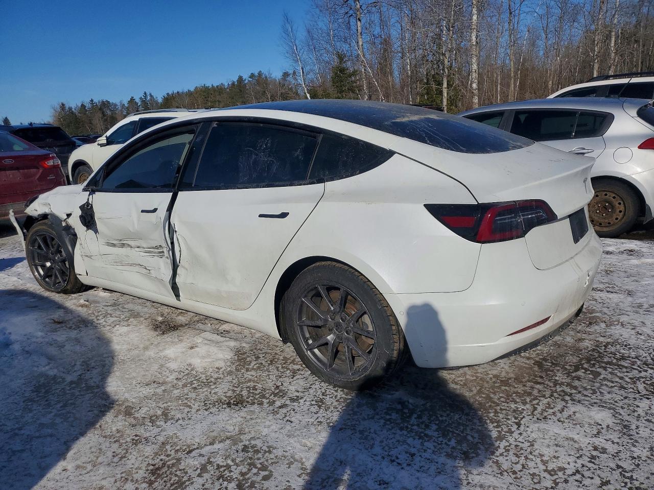 2021 Tesla Model 3 - Фото 2