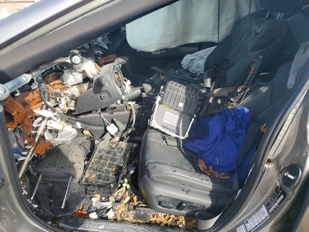 2024 Lexus Nx 350 Premium - Фото 7