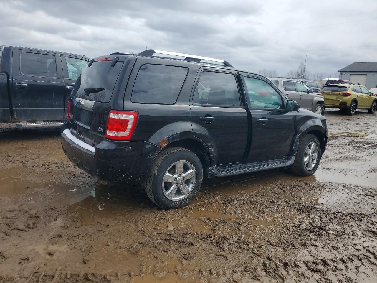 2010 Ford Escape Limited - Image 3
