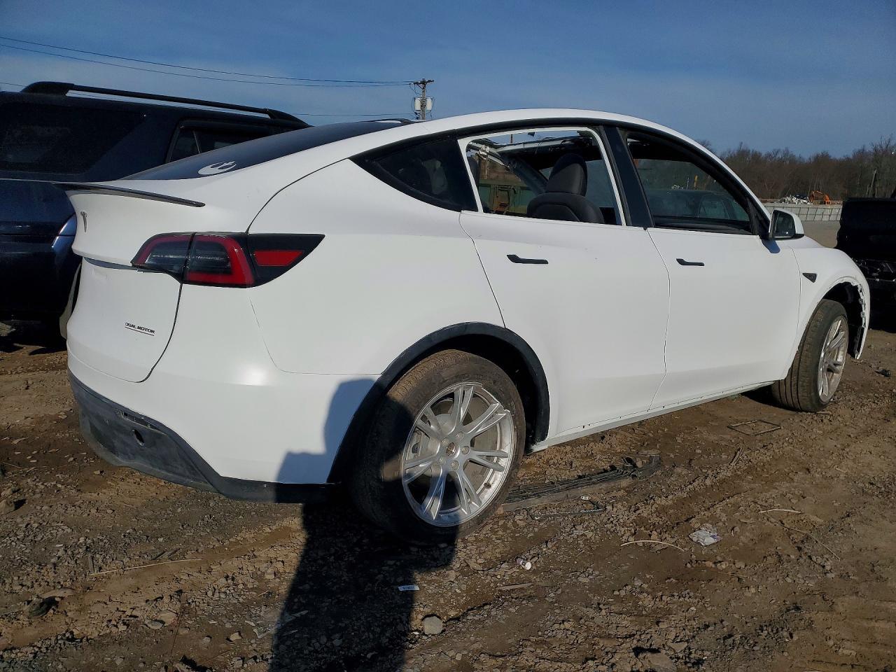 2023 Tesla Model Y - Фото 3