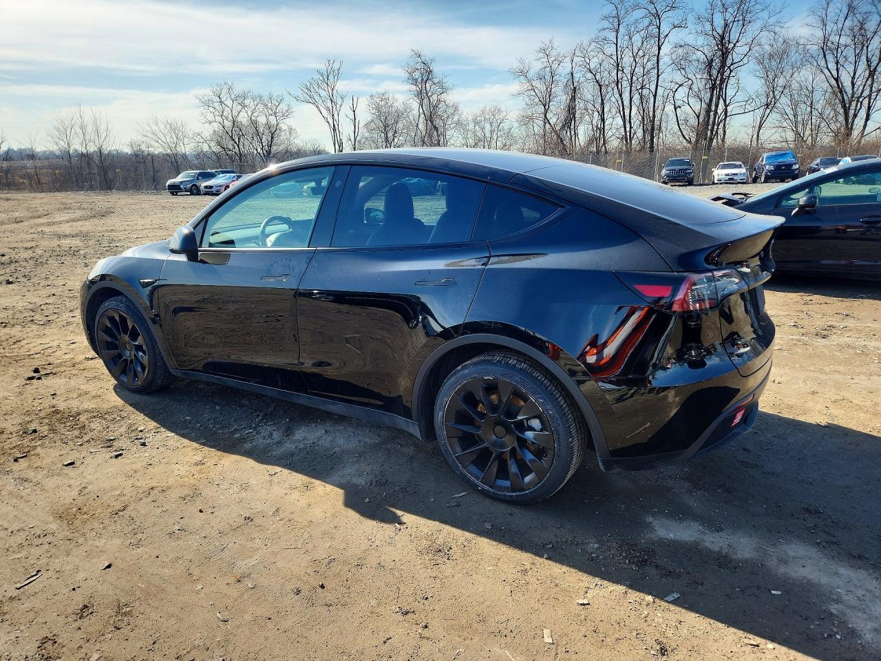 2023 Tesla Model Y - Фото 2