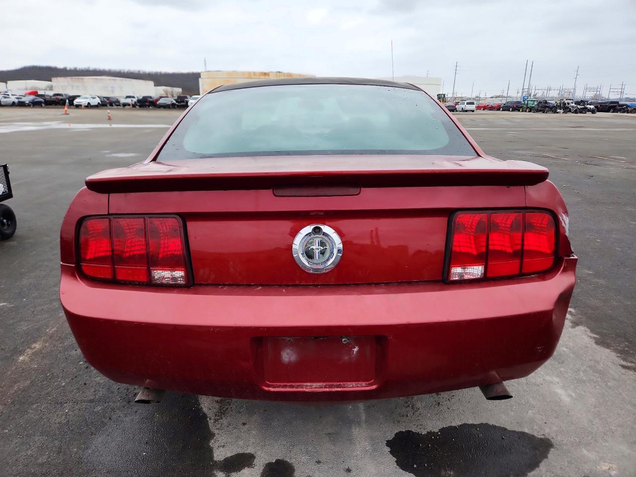 2009 Ford Mustang 50Th Anniversary - Фото 6