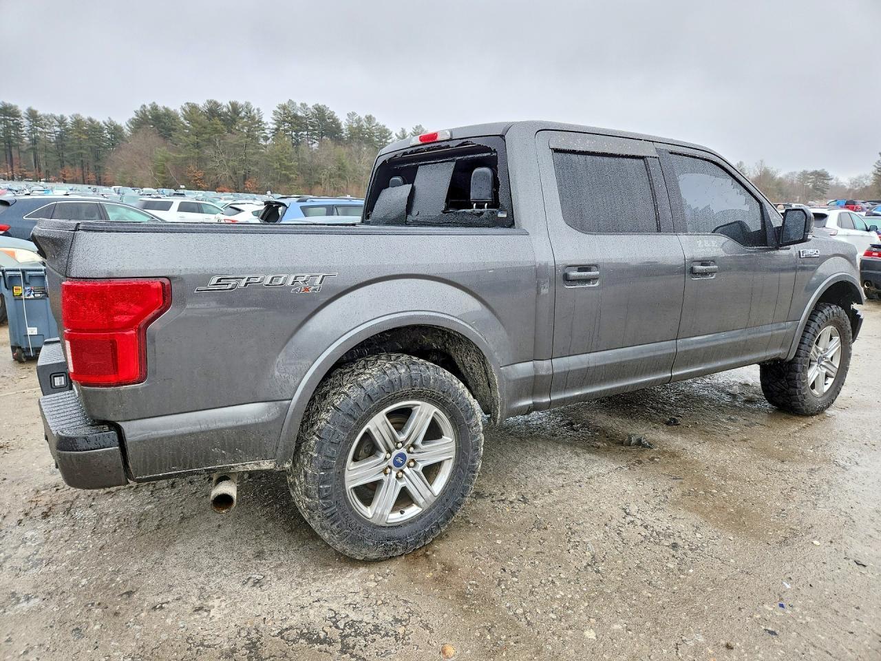 2019 Ford F150 Supercrew - Фото 3