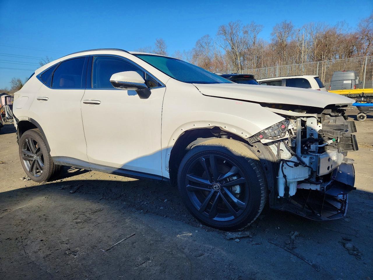 2022 Lexus Nx 450H+ Base - Фото 4