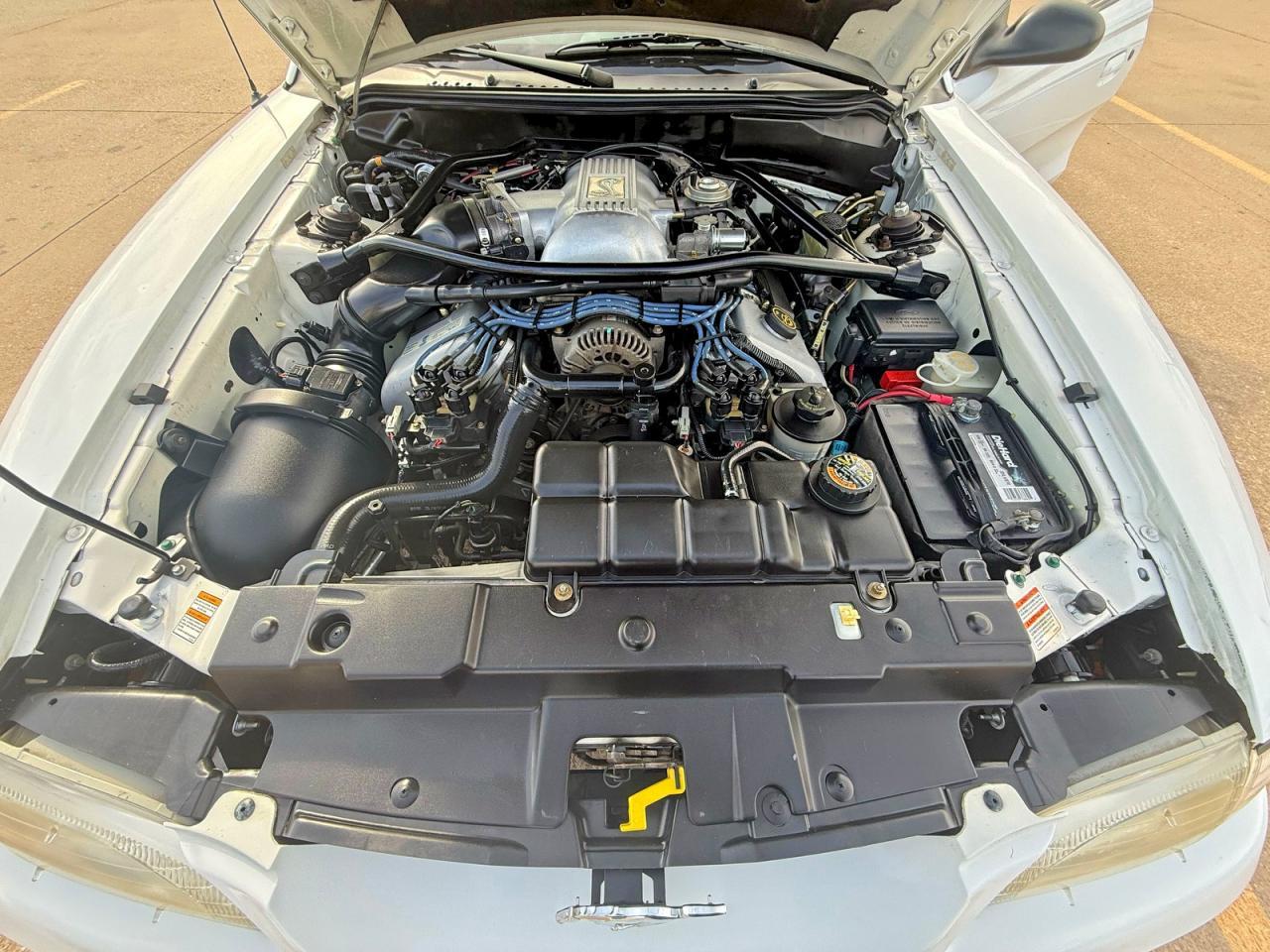 1997 Ford Mustang Cobra - Фото 7