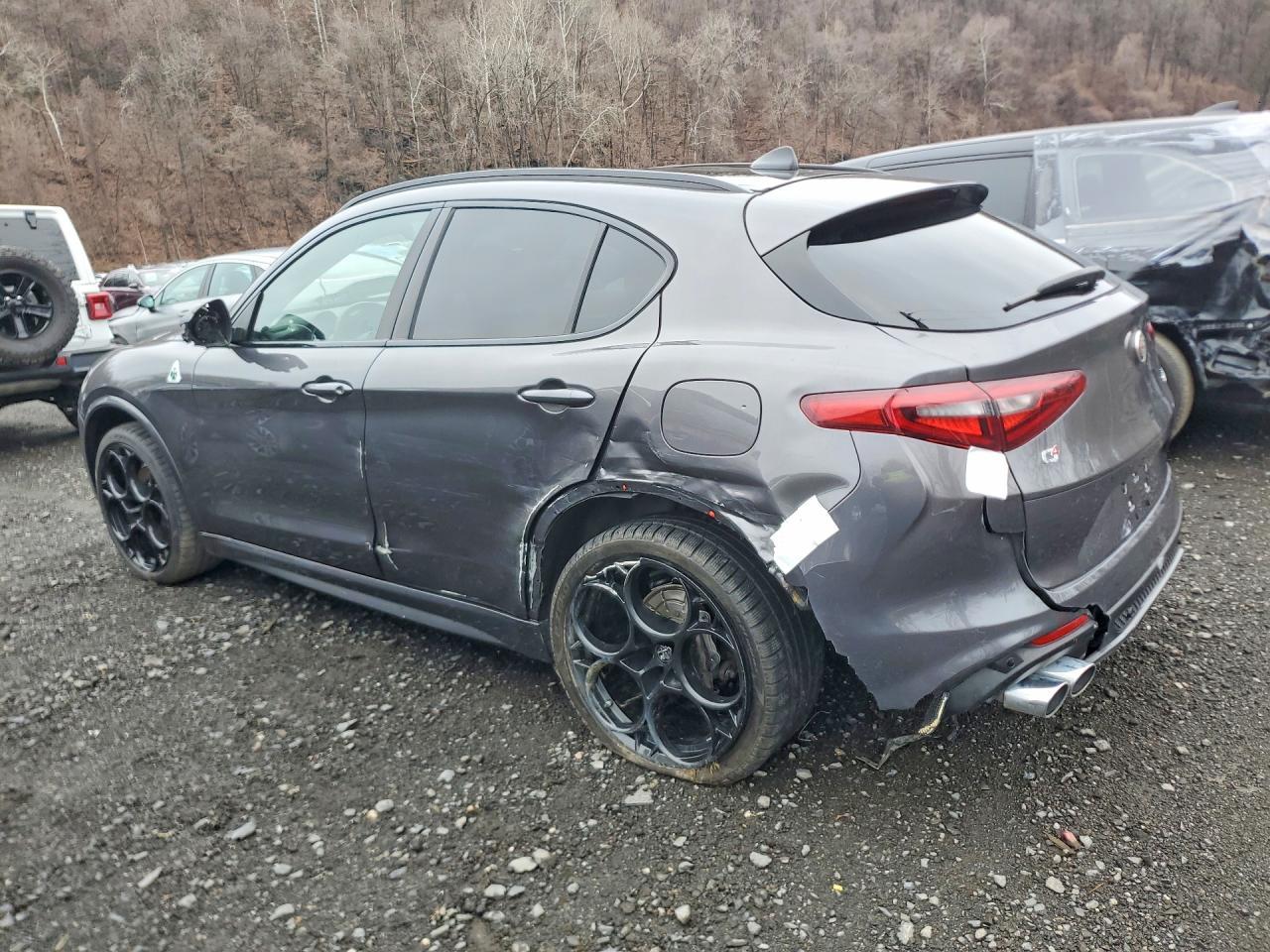 2023 Alfa Romeo Stelvio Quadrifoglio - Фото 2