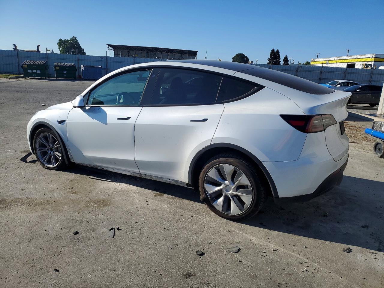 2023 Tesla Model Y - Фото 2