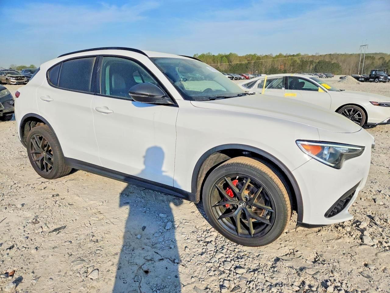 2020 Alfa Romeo Stelvio - Фото 4