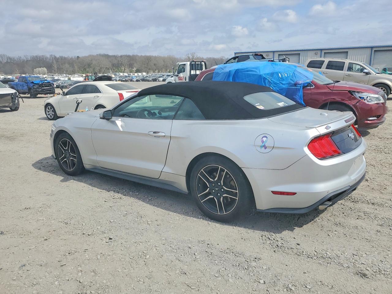 2019 Ford Mustang - Фото 2