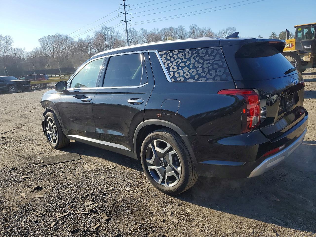 2024 Hyundai Palisade Sel - Фото 2