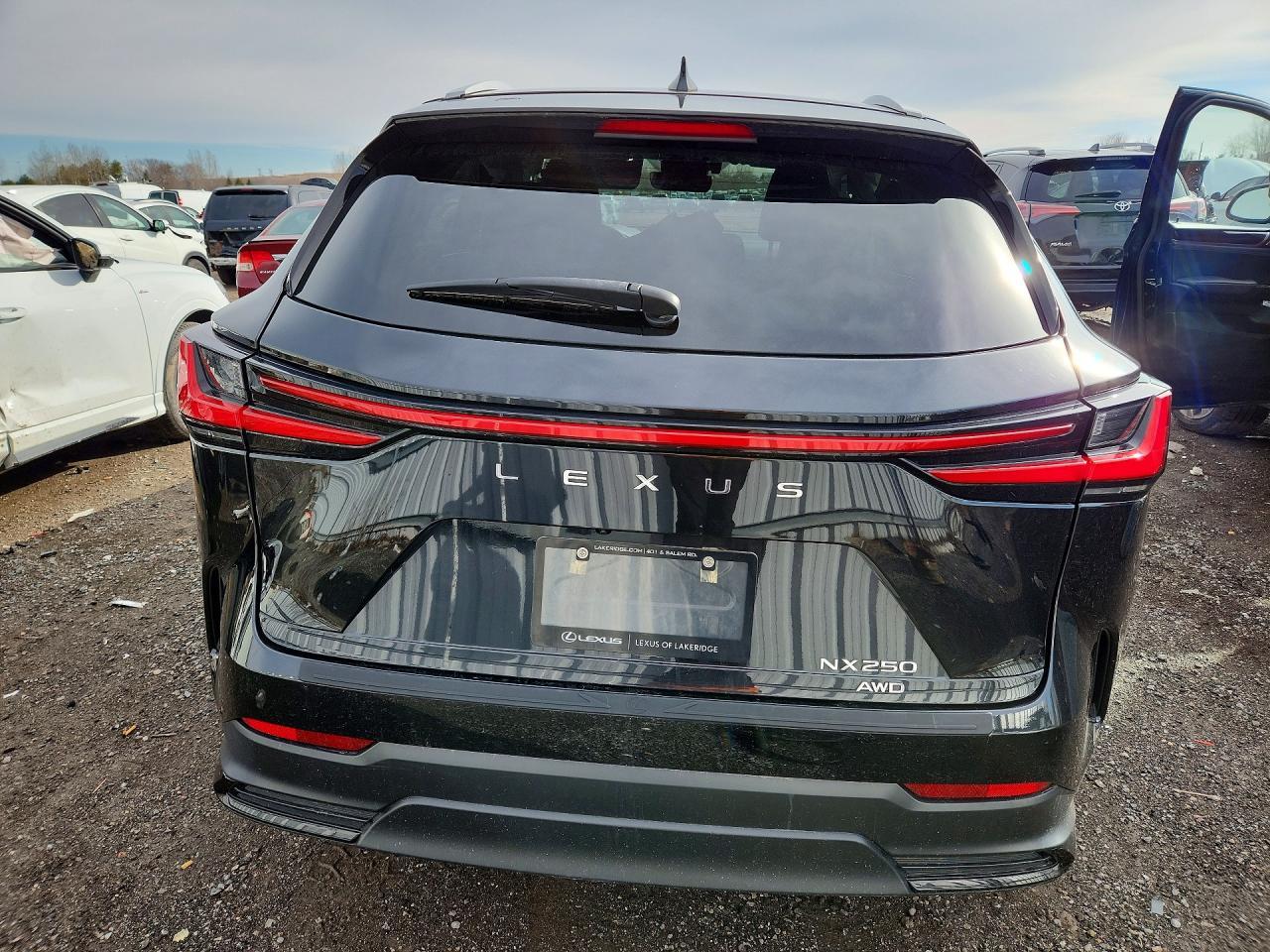 2022 Lexus Nx 250 - Image 6