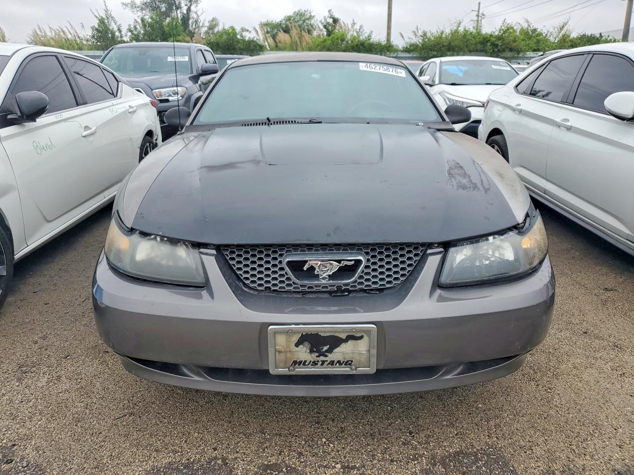 2003 Ford Mustang - Фото 5