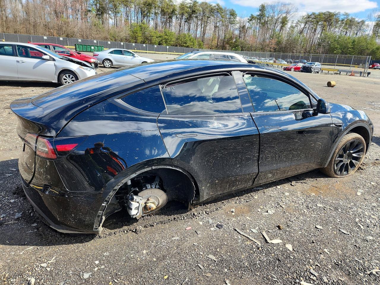 2024 Tesla Model Y - Фото 3
