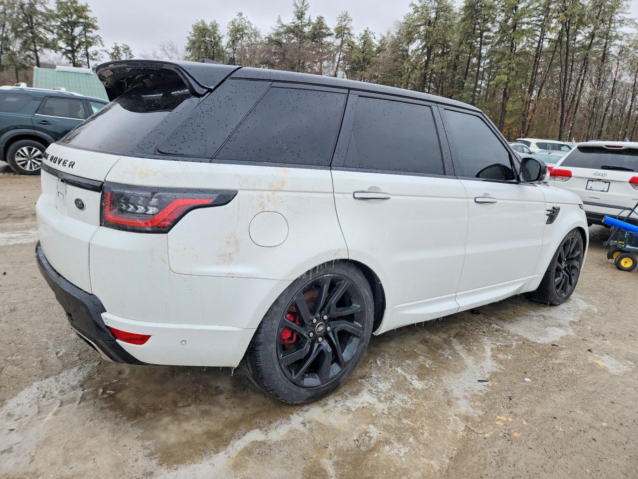 2018 Land Rover Range Rover Sport Hse Dynamic - Фото 3