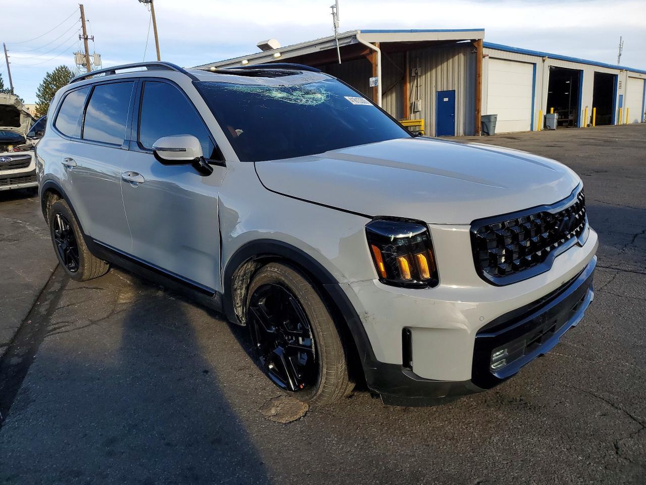 2025 Kia Telluride Sx X-Line - Фото 4