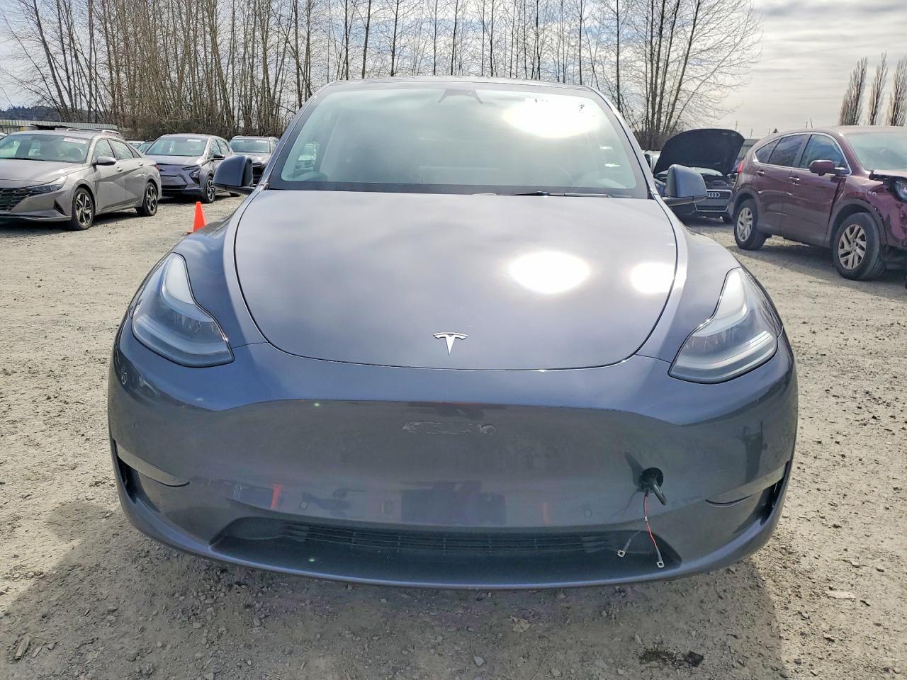 2022 Tesla Model Y - Фото 5