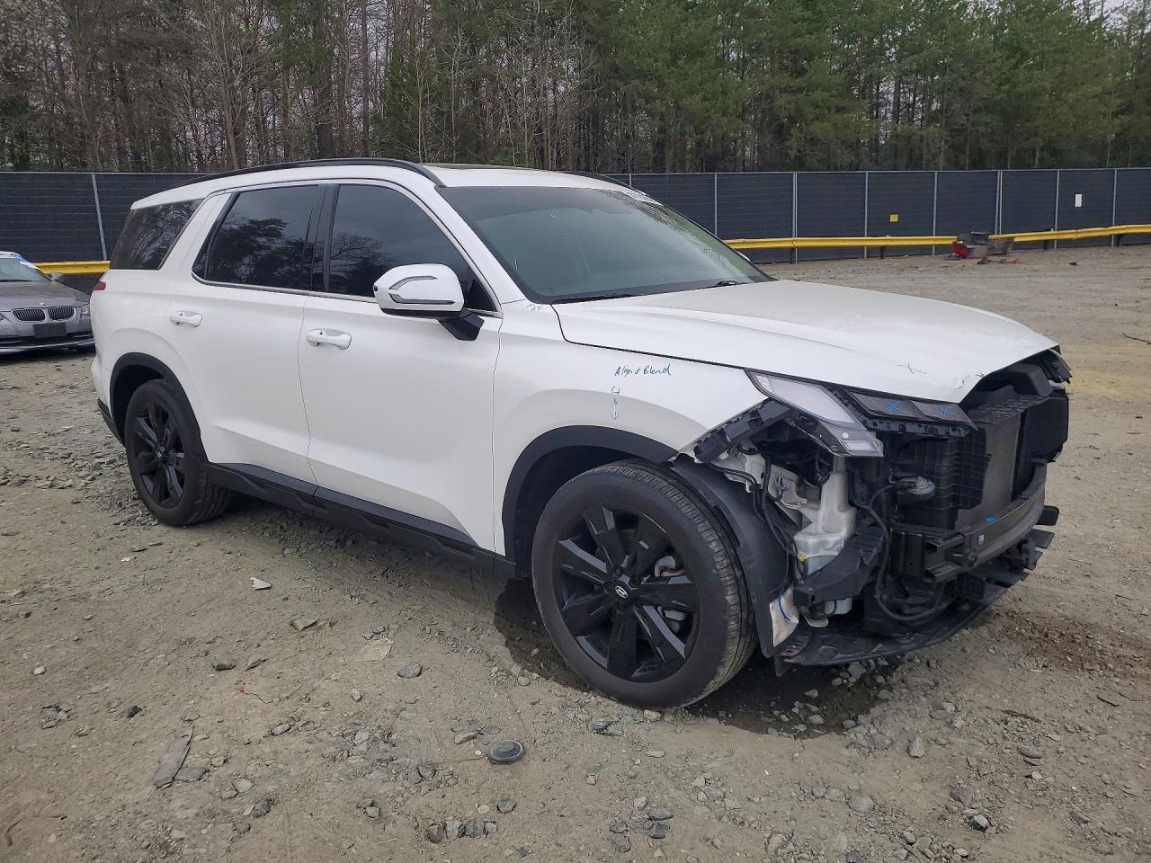 2023 Hyundai Palisade Xrt - Фото 4