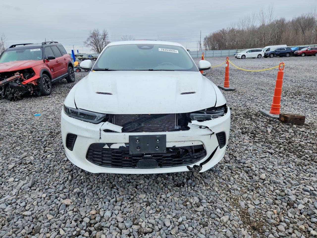 2024 Dodge Hornet R/T - Фото 5