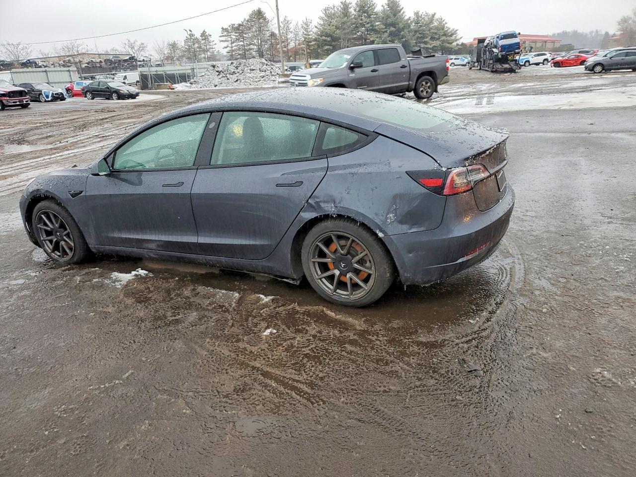 2021 Tesla Model 3 - Фото 2