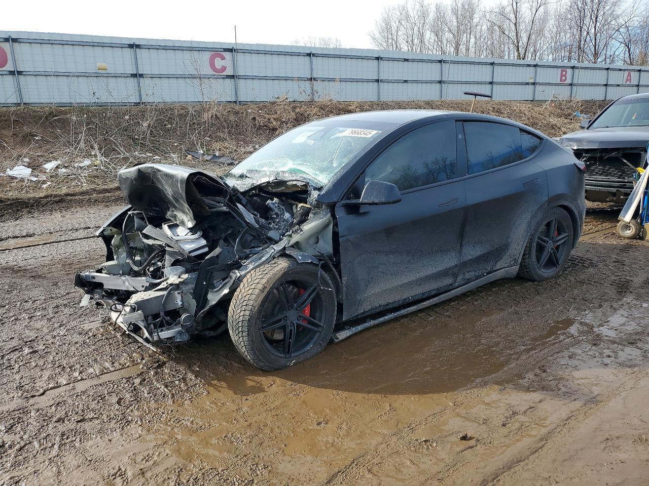 2023 Tesla Model Y
