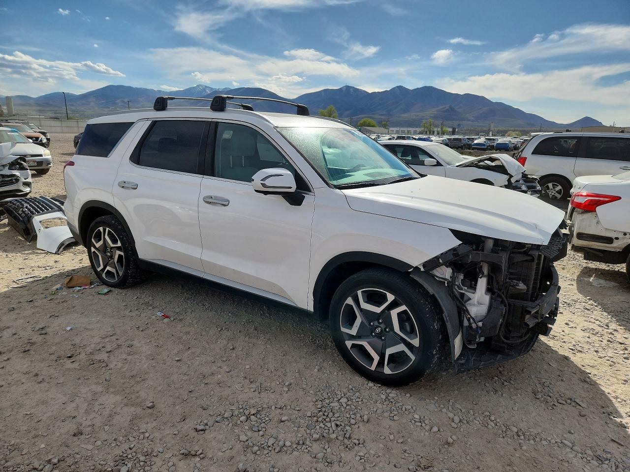 2023 Hyundai Palisade Sel - Фото 4