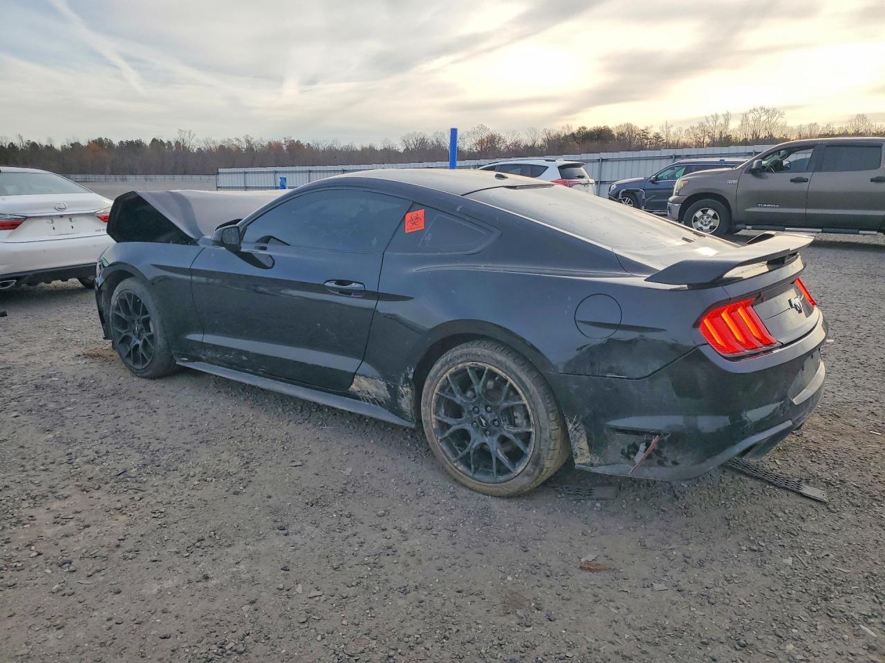 2019 Ford Mustang - Фото 2