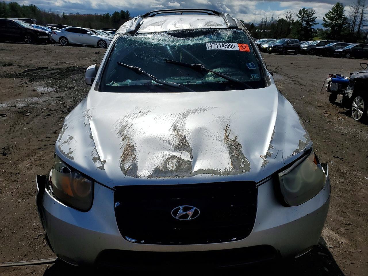 2007 Hyundai Santa Fe Se - Фото 5
