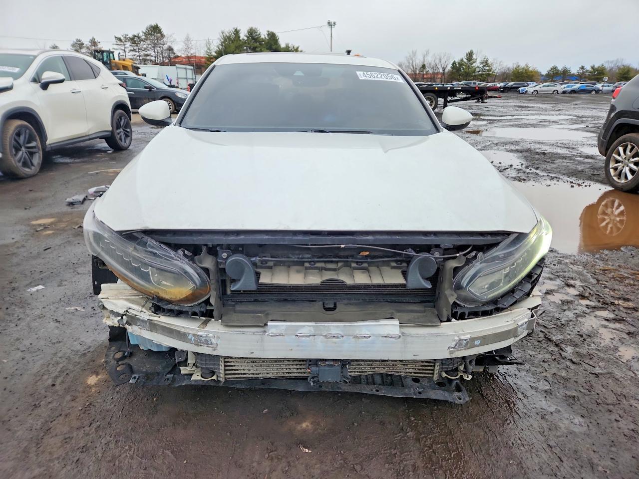 2020 Honda Accord Exl - Image 5