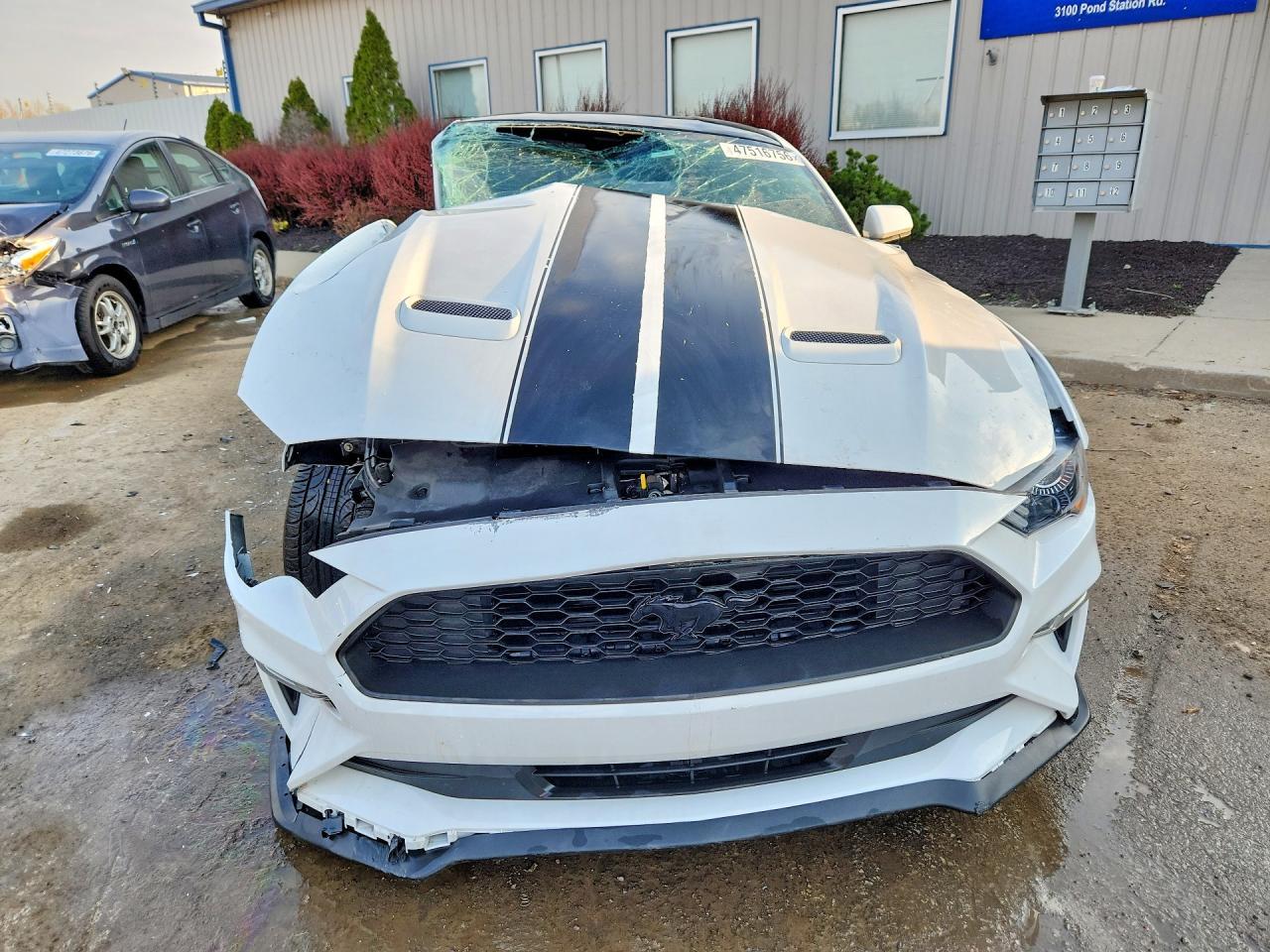 2019 Ford Mustang - Image 5