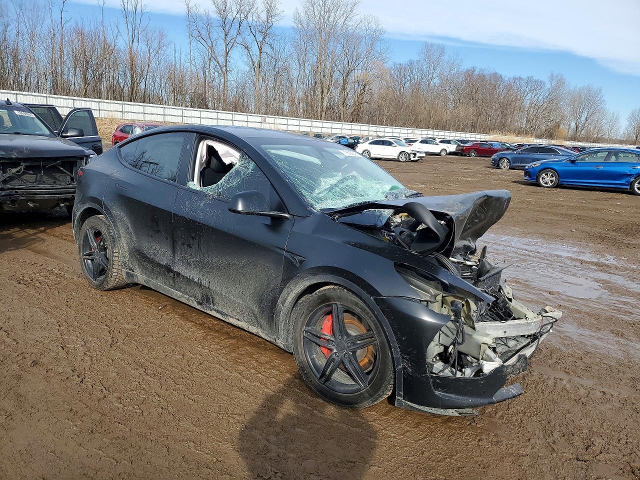 2023 Tesla Model Y - Image 4