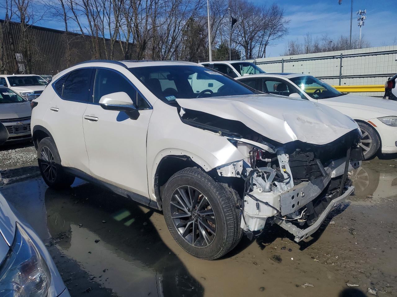 2022 Lexus Nx 350 Base - Фото 4