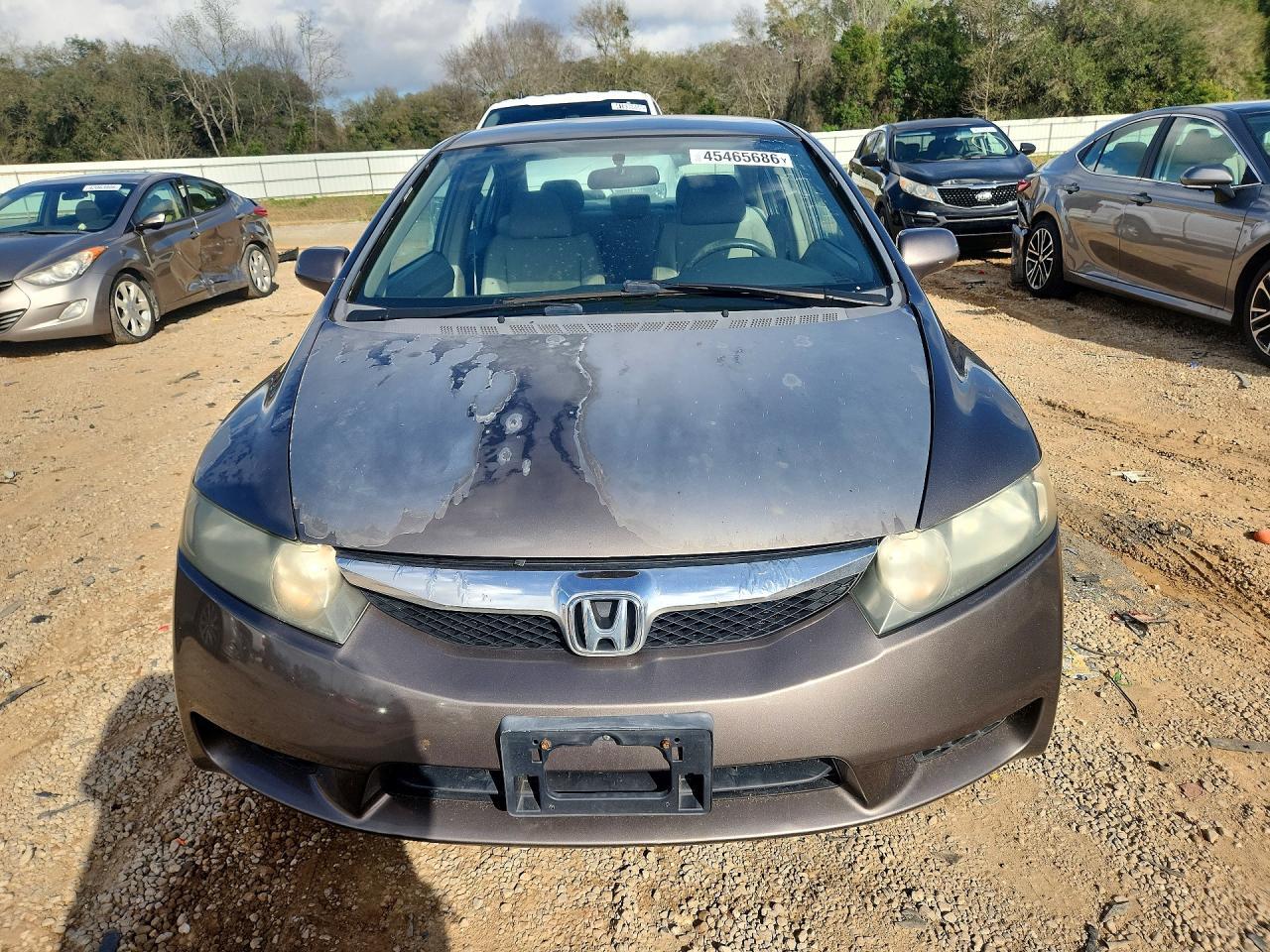 2009 Honda Civic Lx - Фото 5