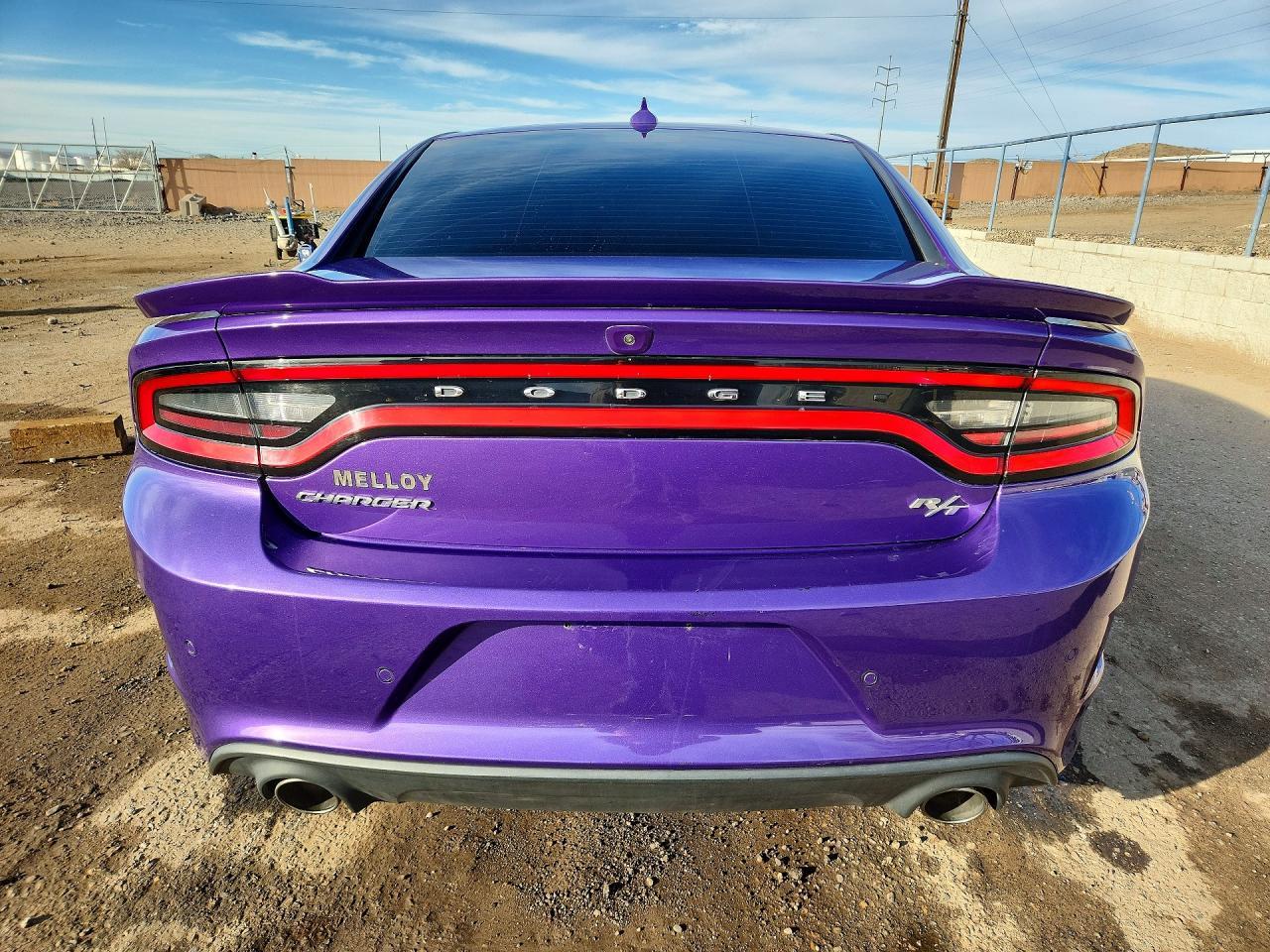 2023 Dodge Charger R - Фото 6