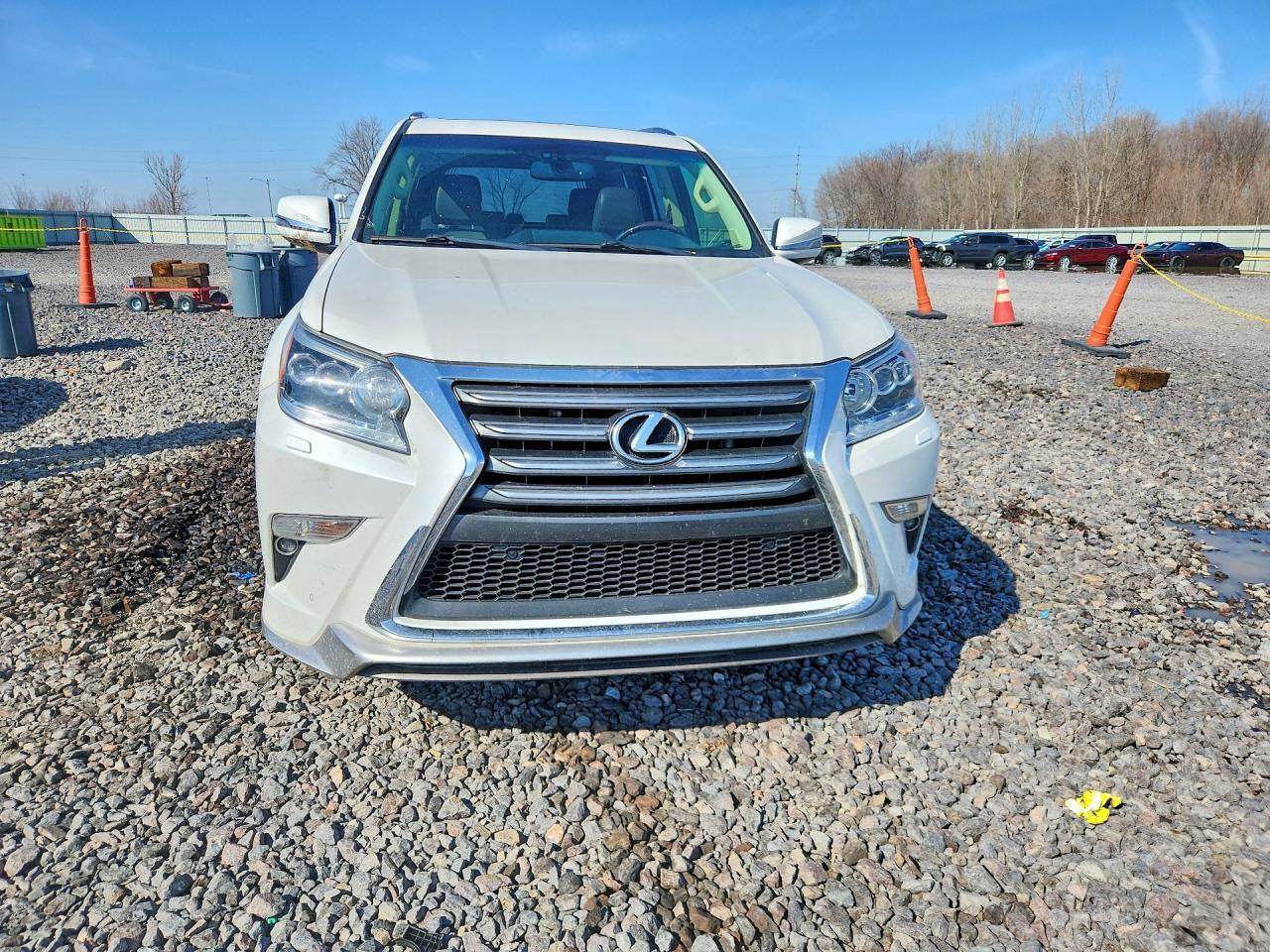 2018 Lexus Gx 460 - Фото 5