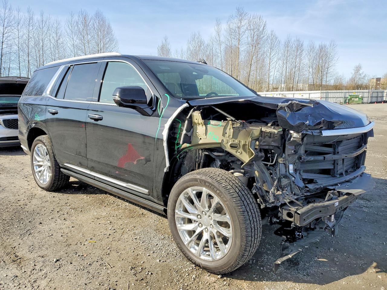 2023 Cadillac Escalade Premium Luxury Platinum - Фото 4