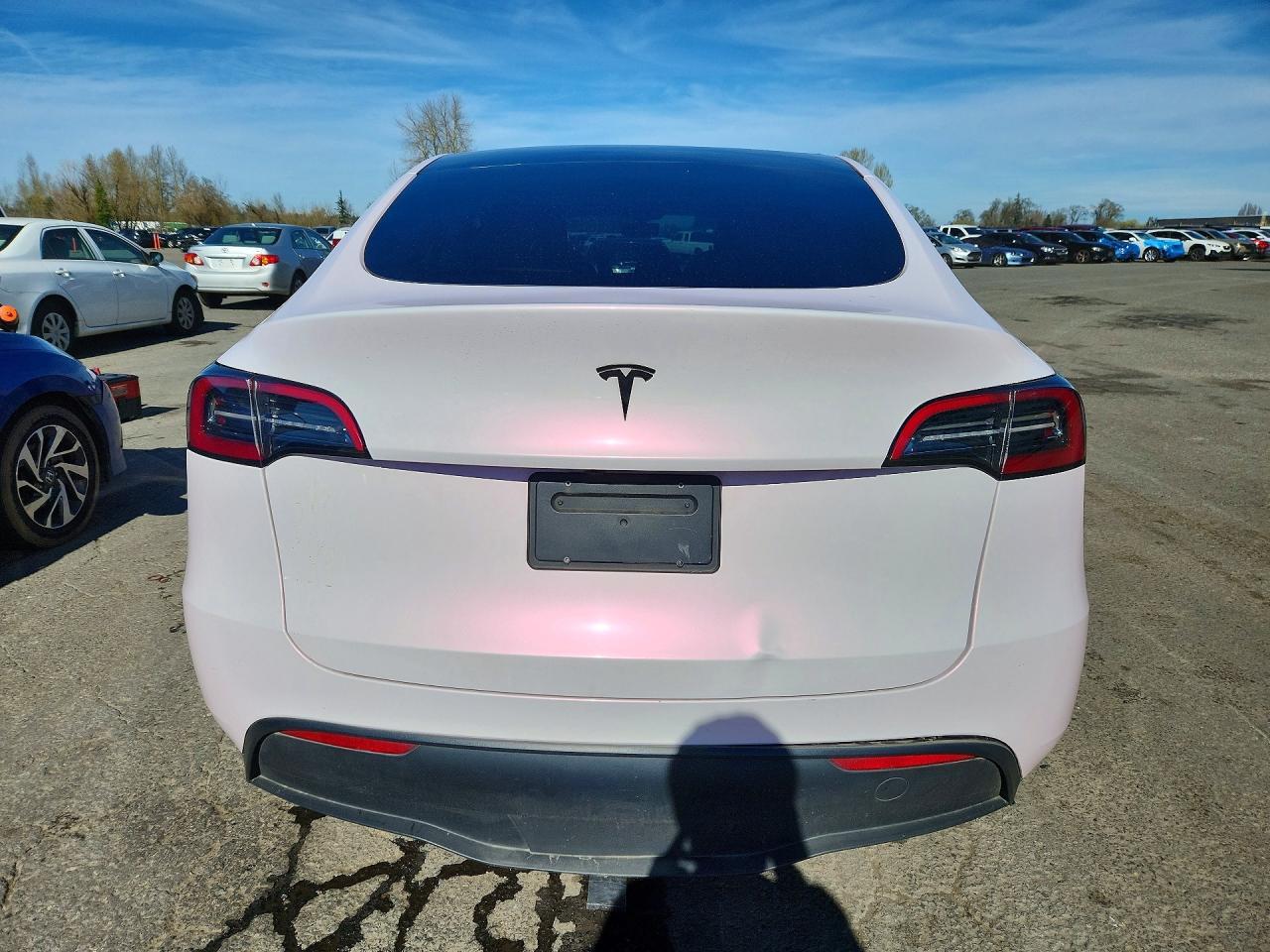 2023 Tesla Model Y - Image 6