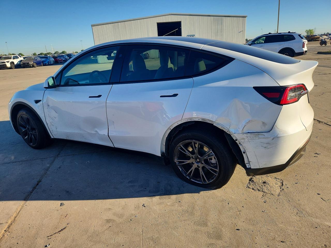 2024 Tesla Model Y - Фото 2