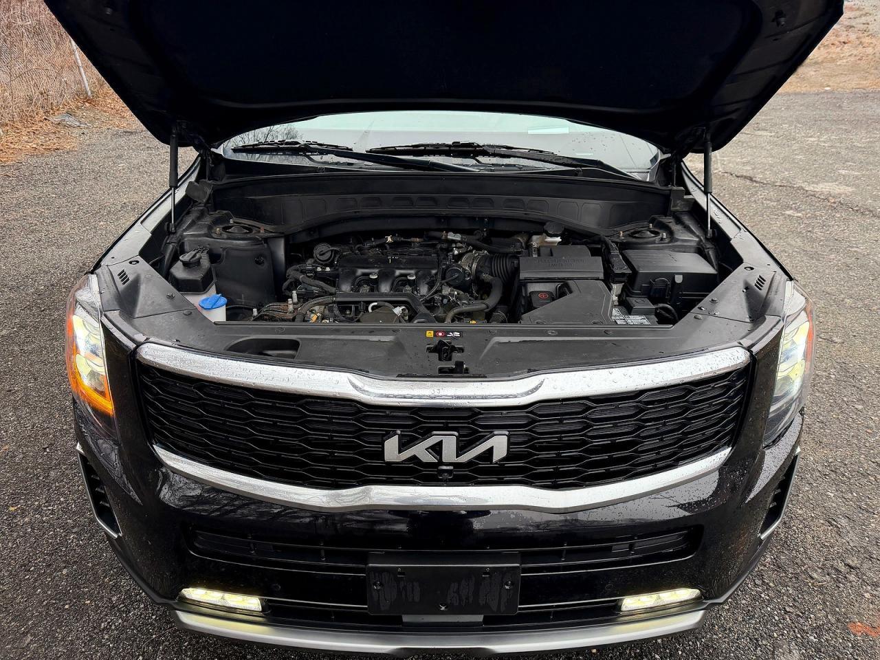 2022 Kia Telluride Sx - Image 7