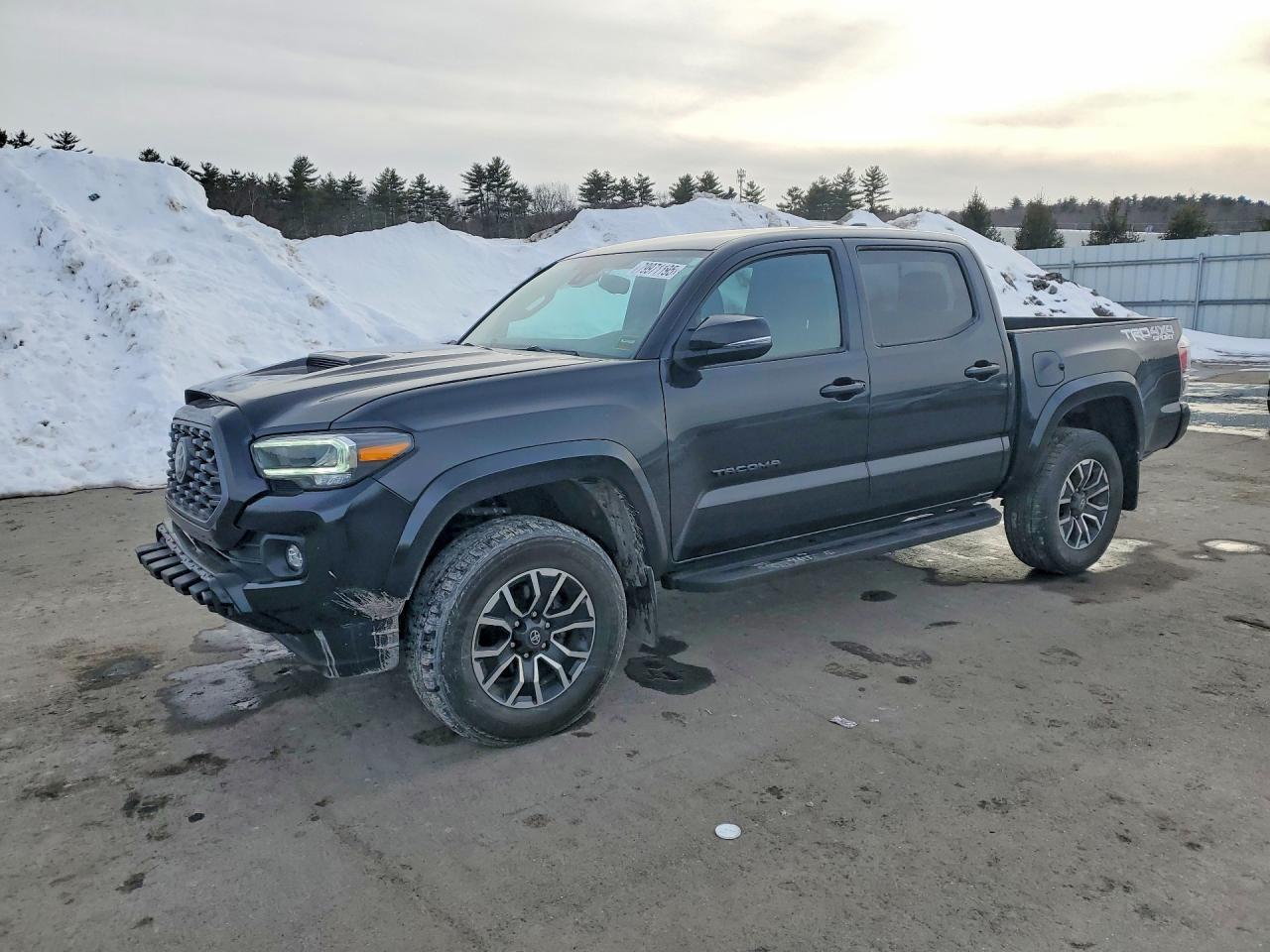 2023 Toyota Tacoma Trd Sport